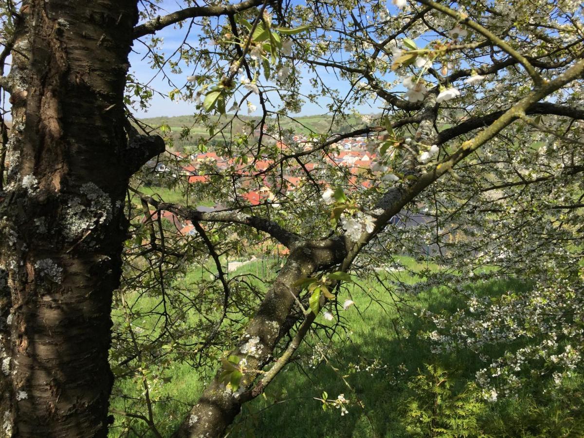 Sweetsuites 40A Lavendelhaus Mühlhausen Εξωτερικό φωτογραφία