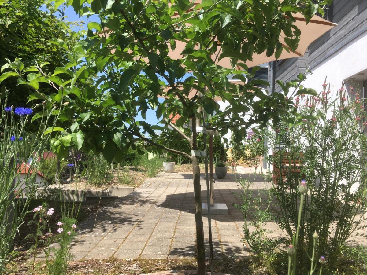 Sweetsuites 40A Lavendelhaus Mühlhausen Εξωτερικό φωτογραφία